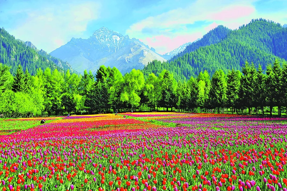 塔城地区塔城地区移动宽带